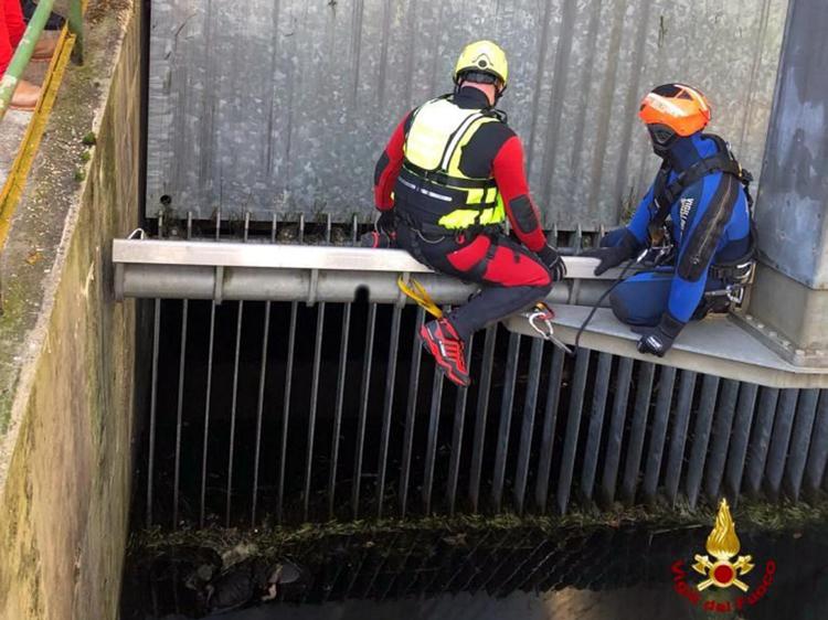 Cadavere di donna in acque di centrale elettrica, indagini in corso