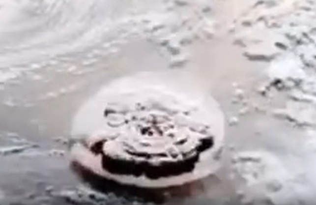 Esplosione Hunga Tonga, onde acustiche registrate anche sull’Etna