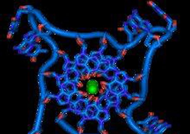 Covid, scoperto gene del Dna che sconfigge il virus, lo studio