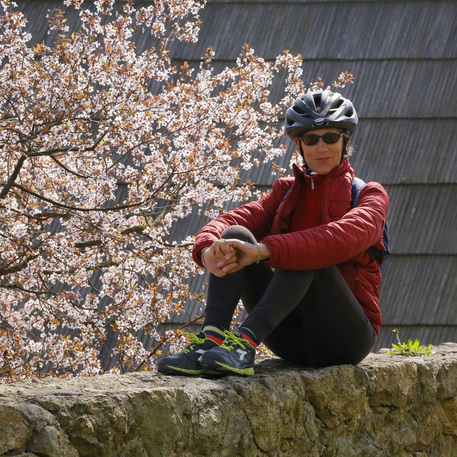 Omicidio Liliana Resinovich, lettera del fratello e pista economica, le indagini