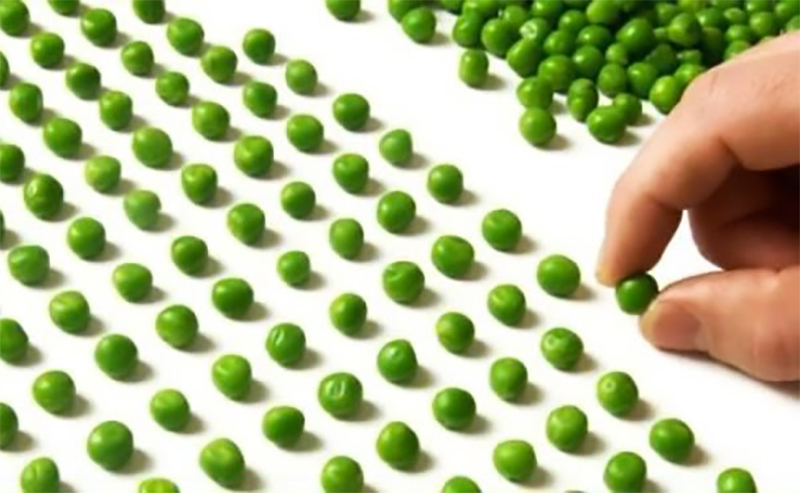 Si nasce disordinati si diventa ordinati