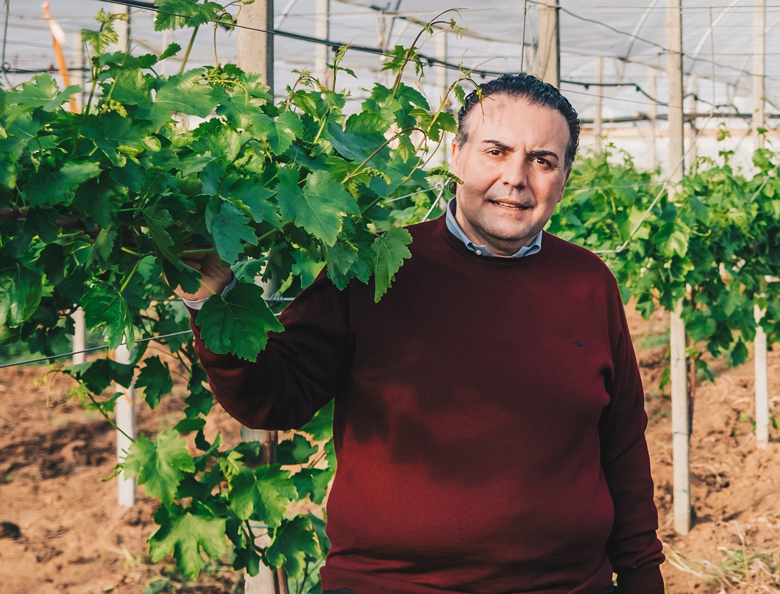 Agricoltura, 2021 positivo, ma pesano clima e rincari delle materie prime