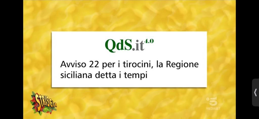 Striscia la notizia cita articolo del QdS sulla formazione professionale Striscia la notizia cita articolo del QdS sulla formazione professionale