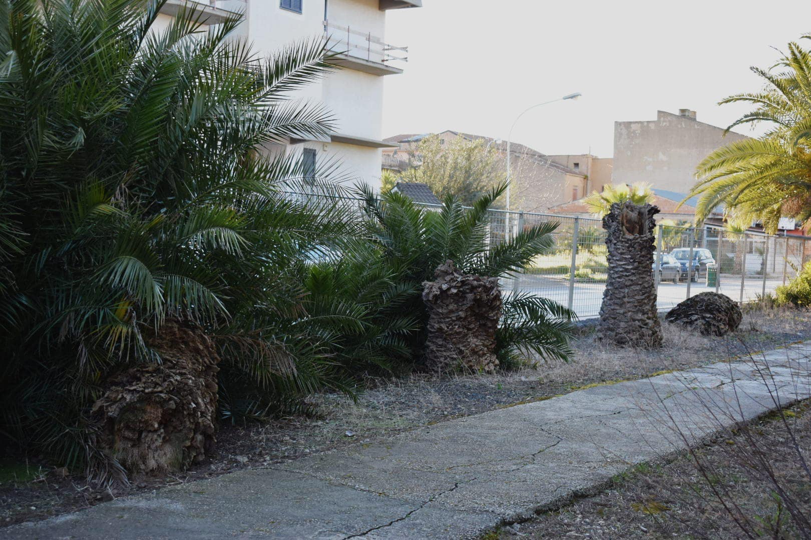 A Sommatino riflettori puntati sul decoro e sul verde pubblico