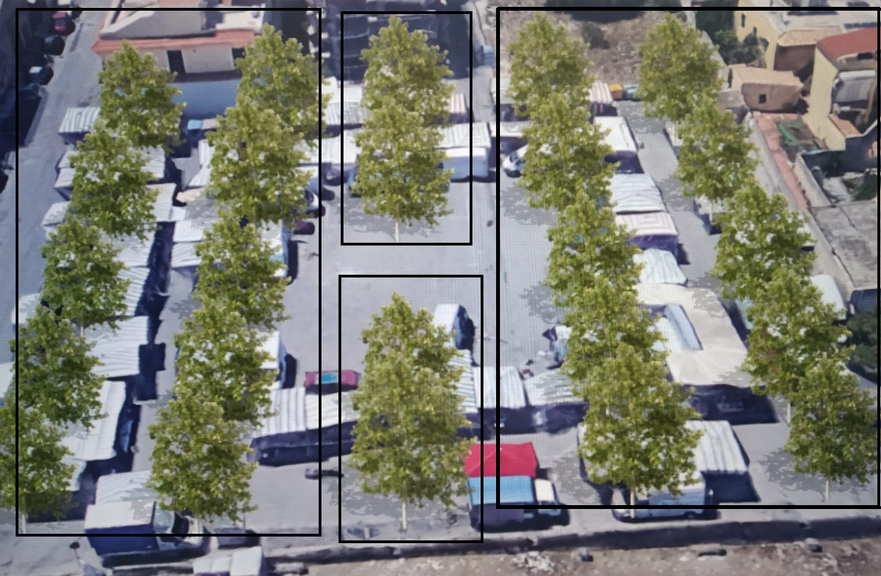 Una Siracusa più verde per combattere l’inquinamento