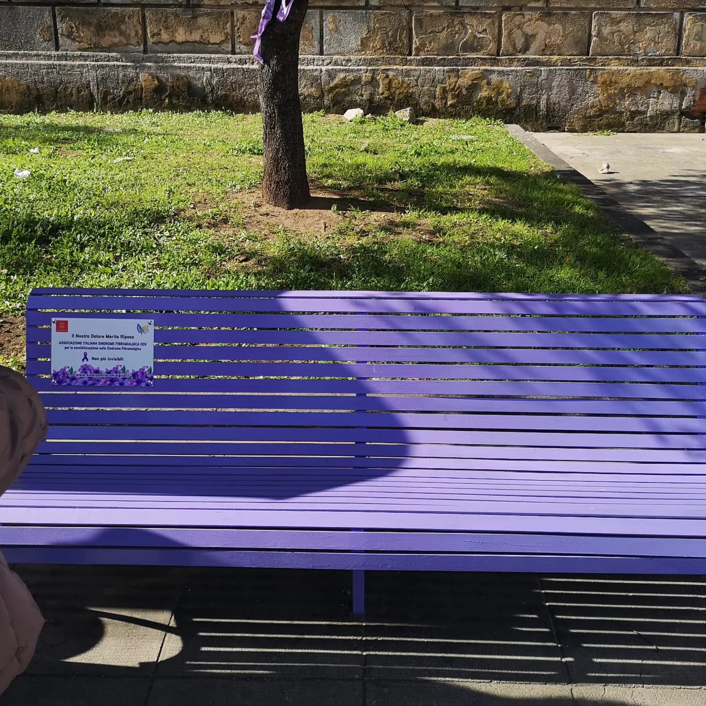 Fdi: “Fibromialgia martedì prossimo in Senato, al via percorso speranza malati’