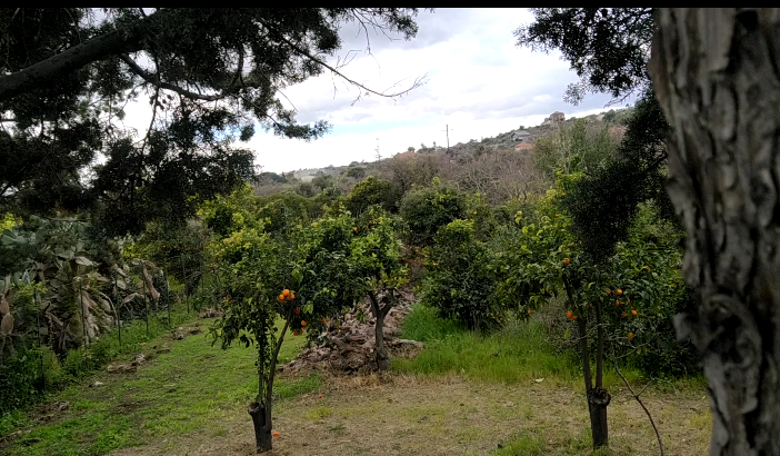 Nuovo cimitero nella collina verde: Aci Castello, scoppia la polemica
