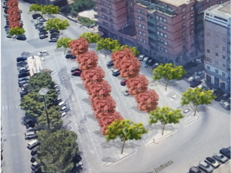 Siracusa, in arrivo progetti “verdi” contro i  cambiamenti climatici