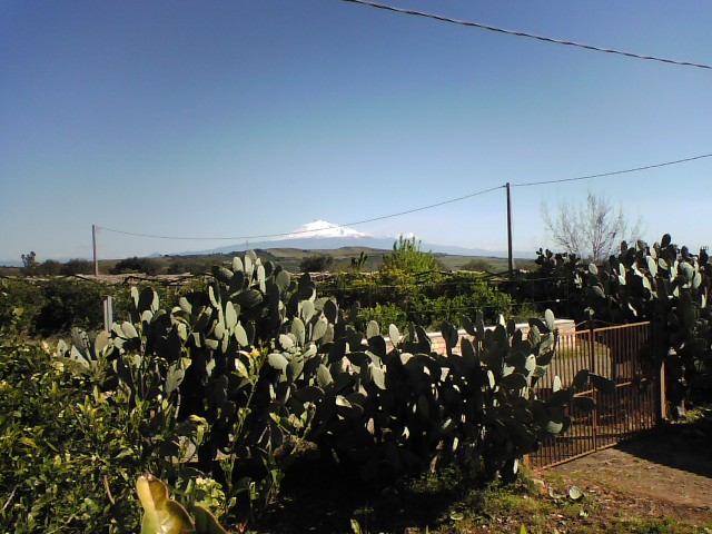 La sfida del “Gal Etna” per lo sviluppo del territorio La sfida del “Gal Etna” per lo sviluppo del territorio