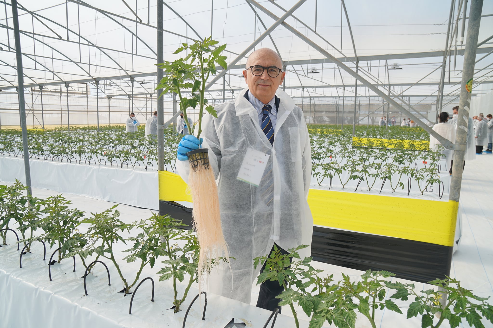 Serre sostenibili, in Sicilia arriva l’Agriponic