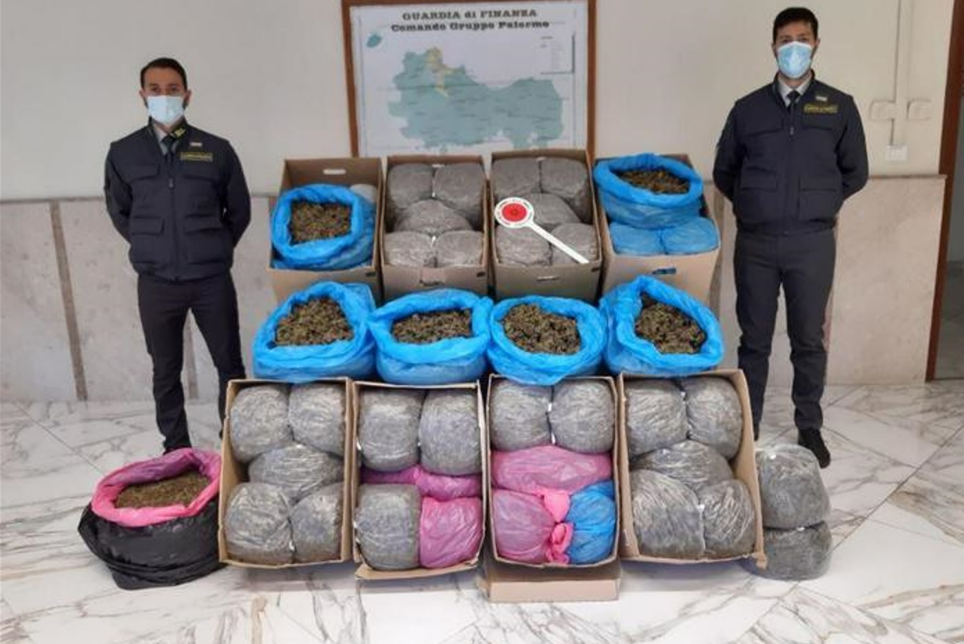 Monreale, fingeva di coltivare “marijuana light”, GdF scopre piantagione illegale, arrestato
