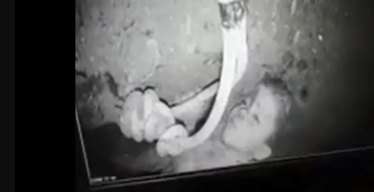 Come è morto Rayan, caduto nel pozzo in Marocco, le ultime ore del bambino