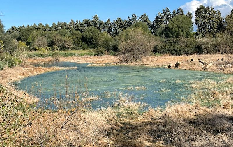 Tavolo tecnico per la bonifica dell’ex discarica di Augusta