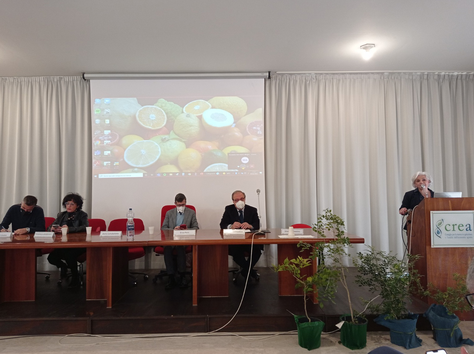 Filiera agrumicola, serve più gioco di squadra