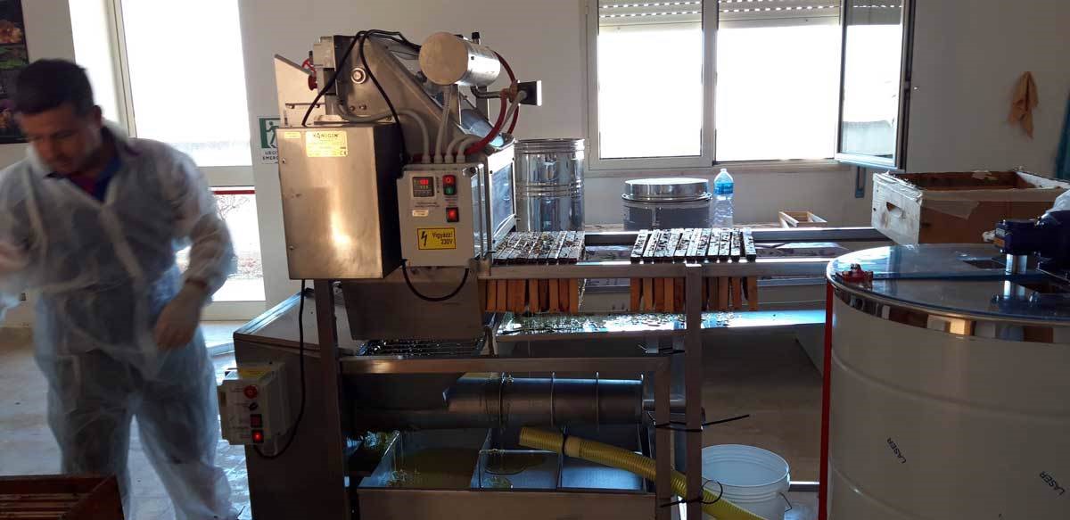 Nicosia, un Laboratorio sociale per lo sviluppo dell’apicoltura