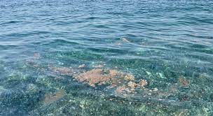 Un tuffo nel mare siciliano… tra i veleni come mercurio e microplastiche