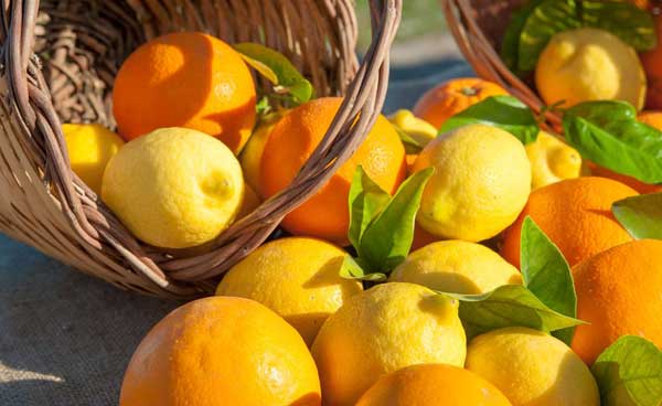 A Vittoria la scuola incontra le eccellenze ortofrutticole