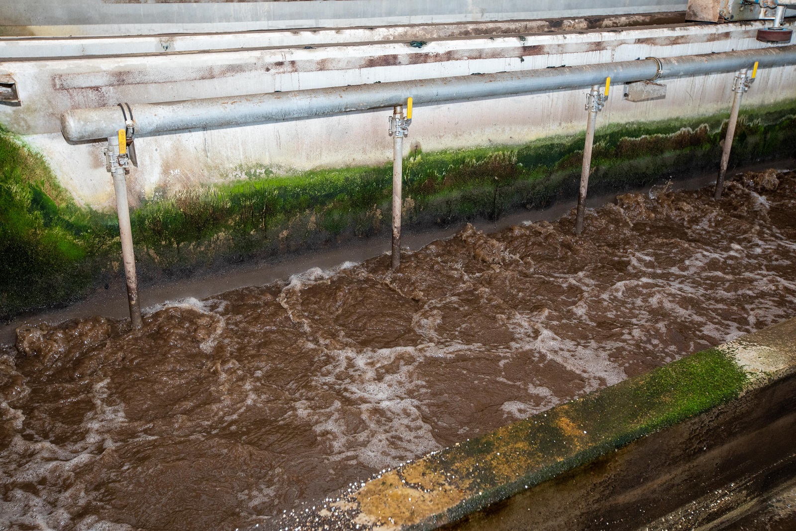 Palermo, gestione servizi di depurazione è scontro tra Amap e sindacati