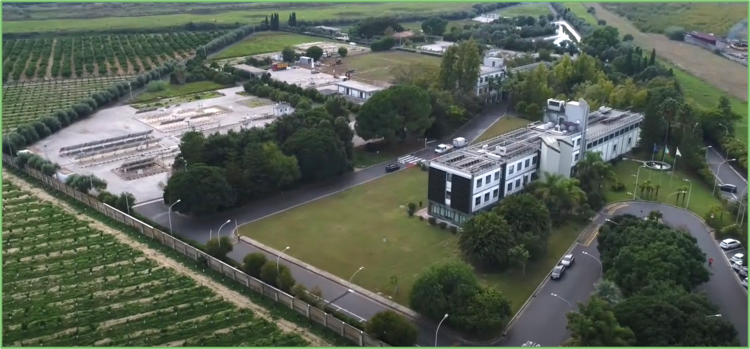 Microsoft annuncia taglio di circa 10mila posti nel settore tecnologico