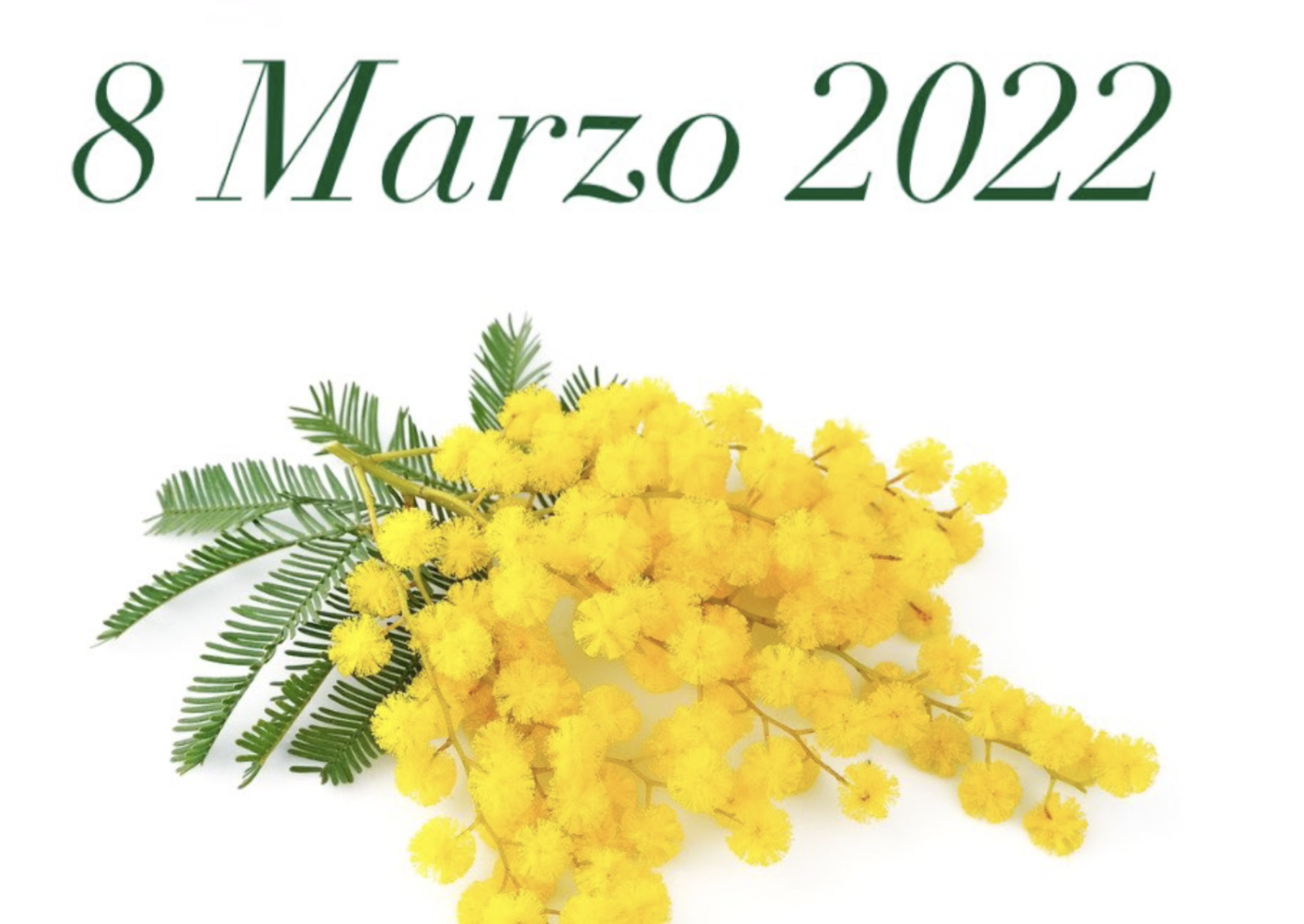 8 marzo e parità di genere, il video celebrativo del QdS