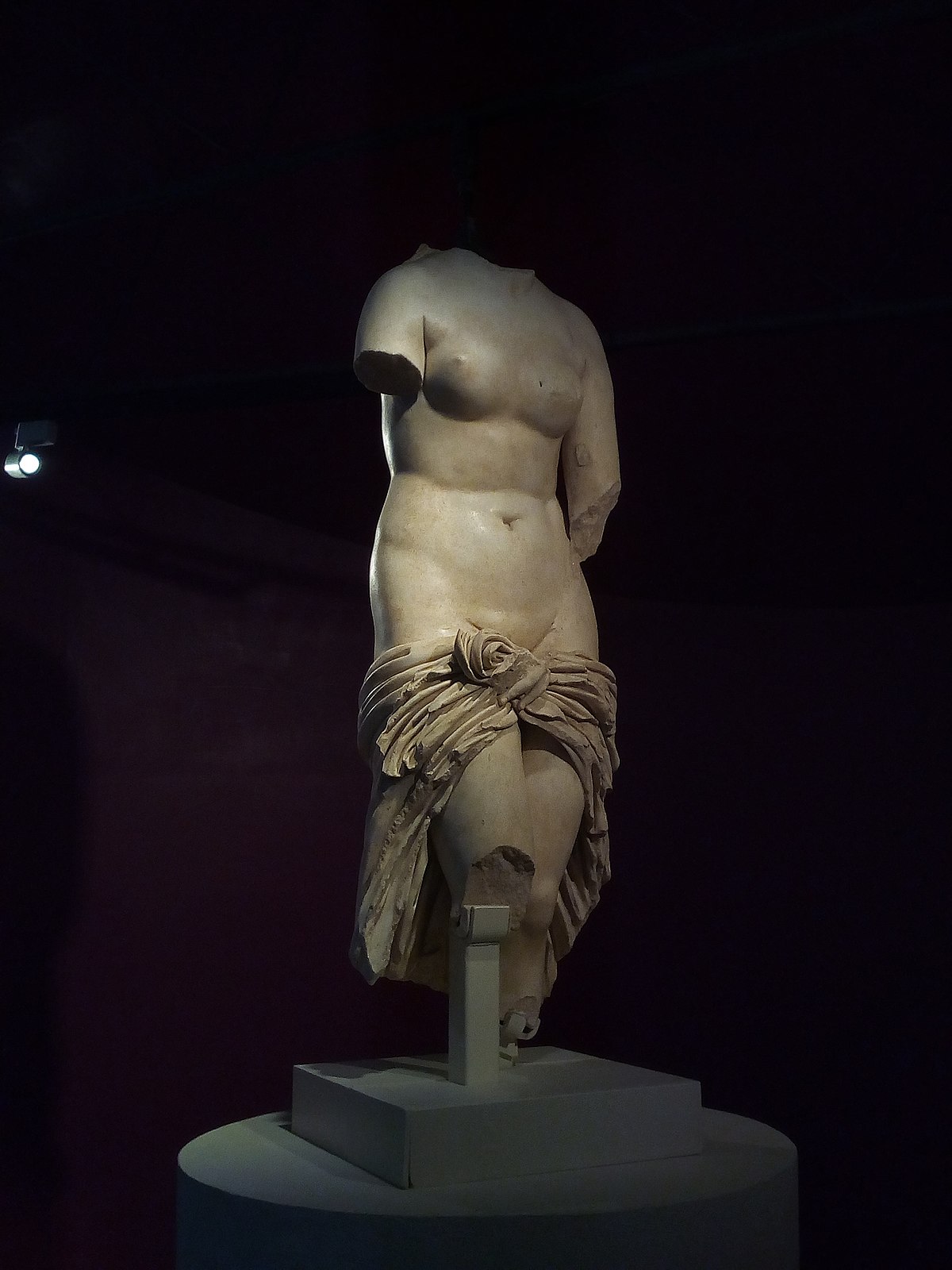 La venere Lilibetana nuovamente esposta al Museo di Marsala