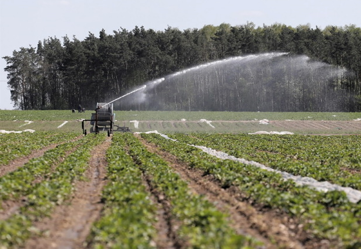 Acque depurate per l’agricoltura, ecco cosa prevede la legge regionale
