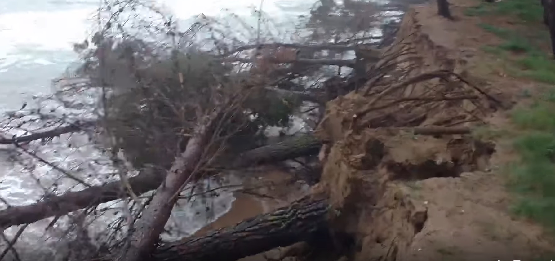 Eraclea Minoa, il mare divora la spiaggia, alberi abbattuti