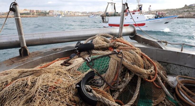 Crisi agricoltura, cosa fanno gli europarlamentari siciliani per l’Isola