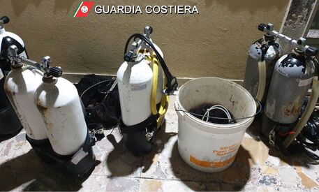 Pesca di frodo, Guardia costiera sanziona quattro sub ad Acireale Pesca di frodo, Guardia costiera sanziona quattro sub ad Acireale