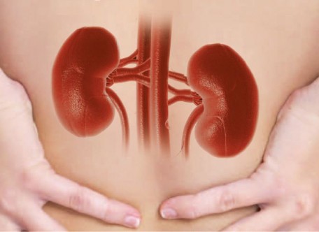 Salute, sostegno del Comune di Catania all’azione di prevenzione delle malattie renali