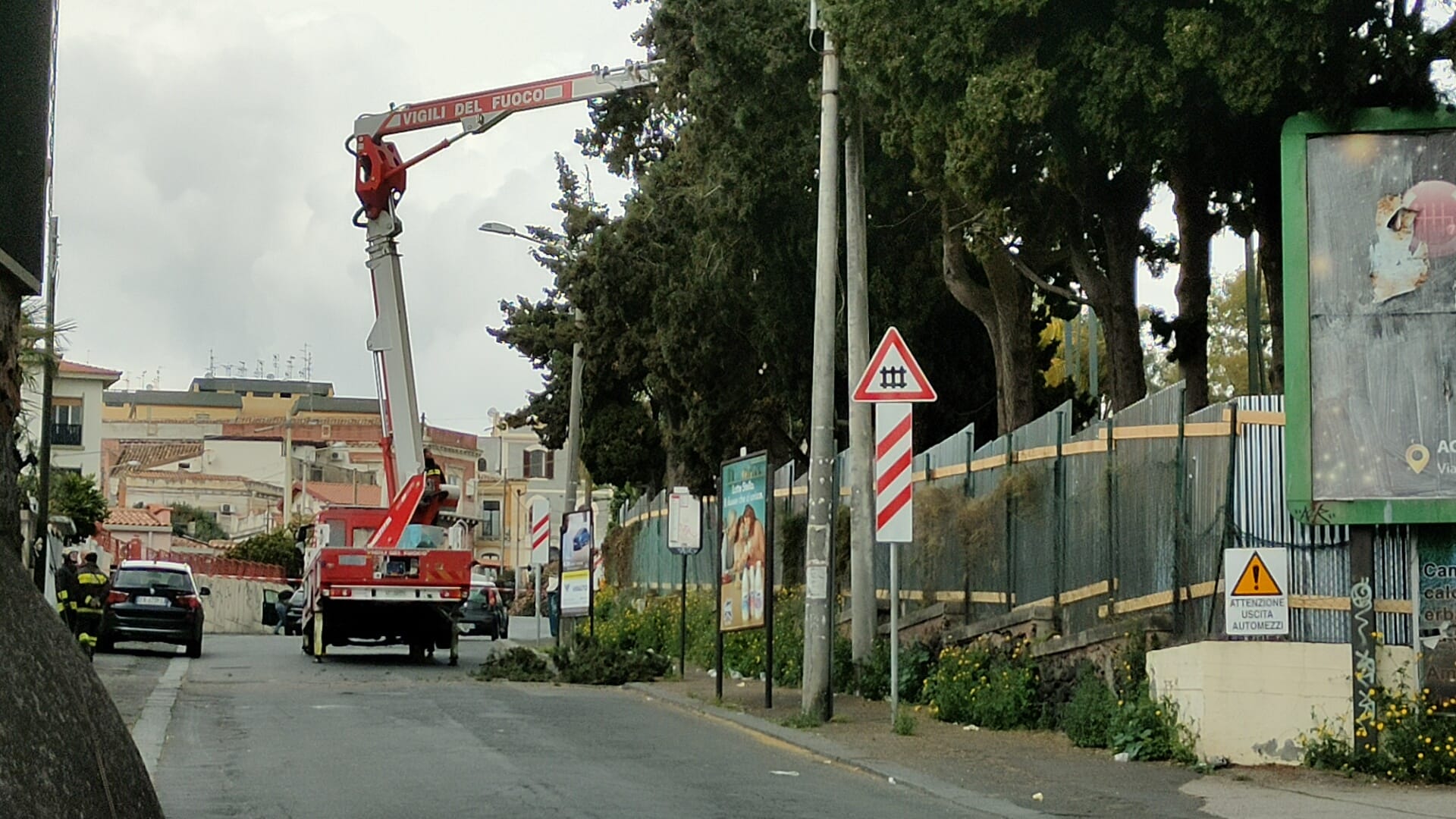 Catania, albero pericolante e traffico in tilt in Via Santa Sofia