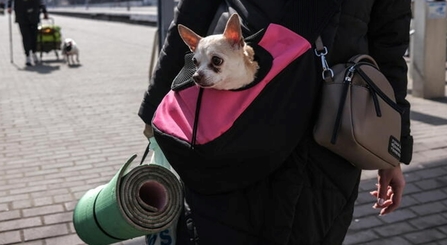 Ucraina, è una “guerra di genere”: centinaia di trans in fuga respinte al confine