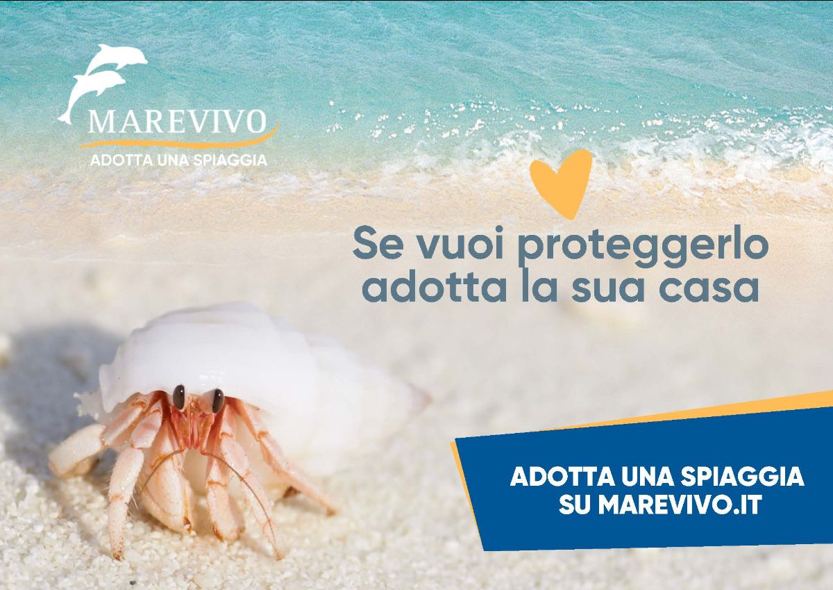 Adotta una spiaggia, parte la campagna nazionale di Marevivo