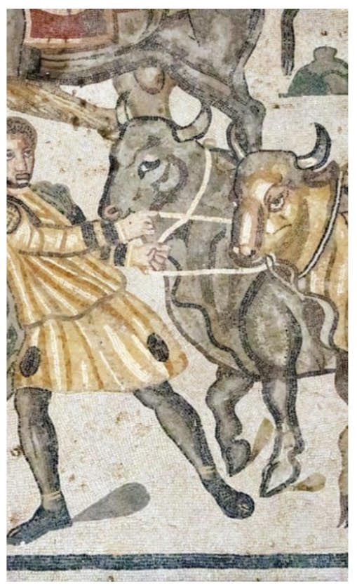 Enna, beni culturali ora accessibili a disabili uditivi e ipovedenti