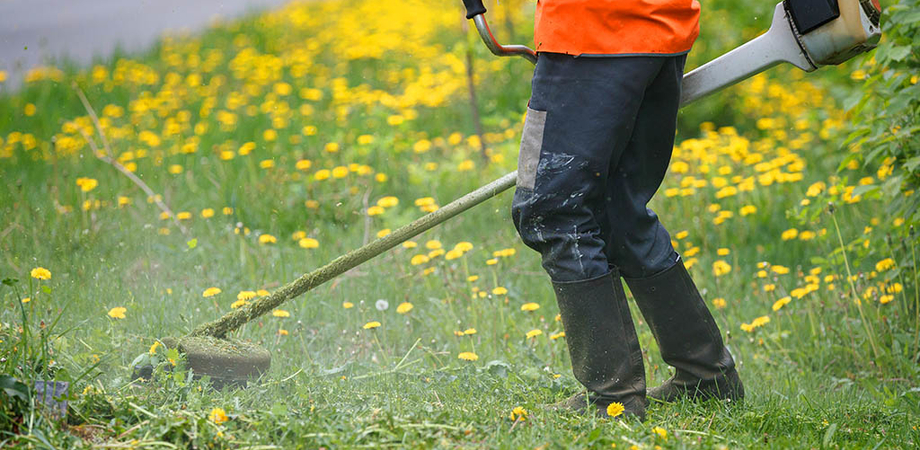 Puc, a Mazara del Vallo coinvolti 55 percettori di Rdc
