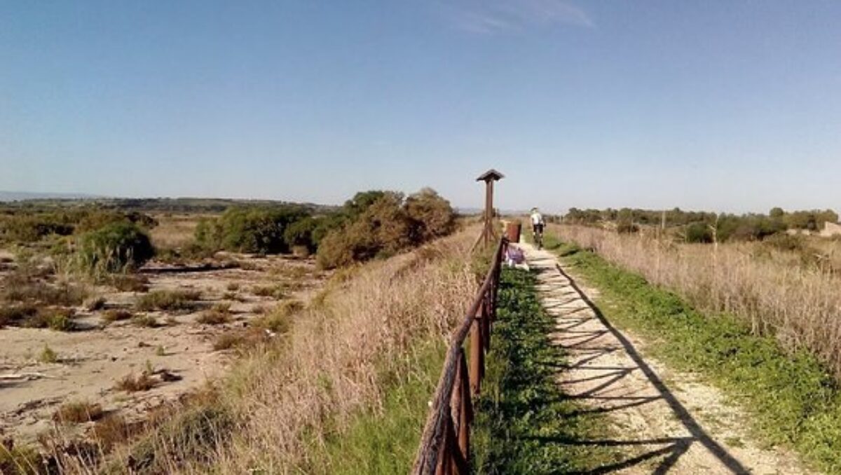 Oasi del Simeto, un patrimonio verde da tutelare e valorizzare