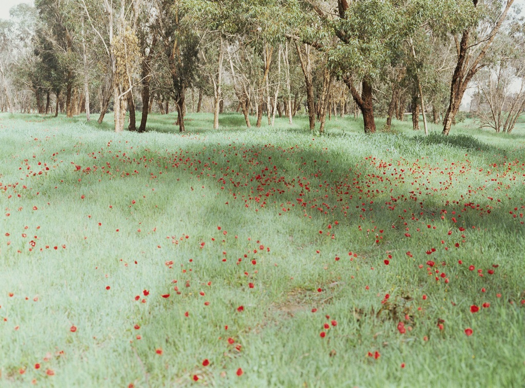 Mostre, a Palermo arriva Esse di Rafael Y.Herman