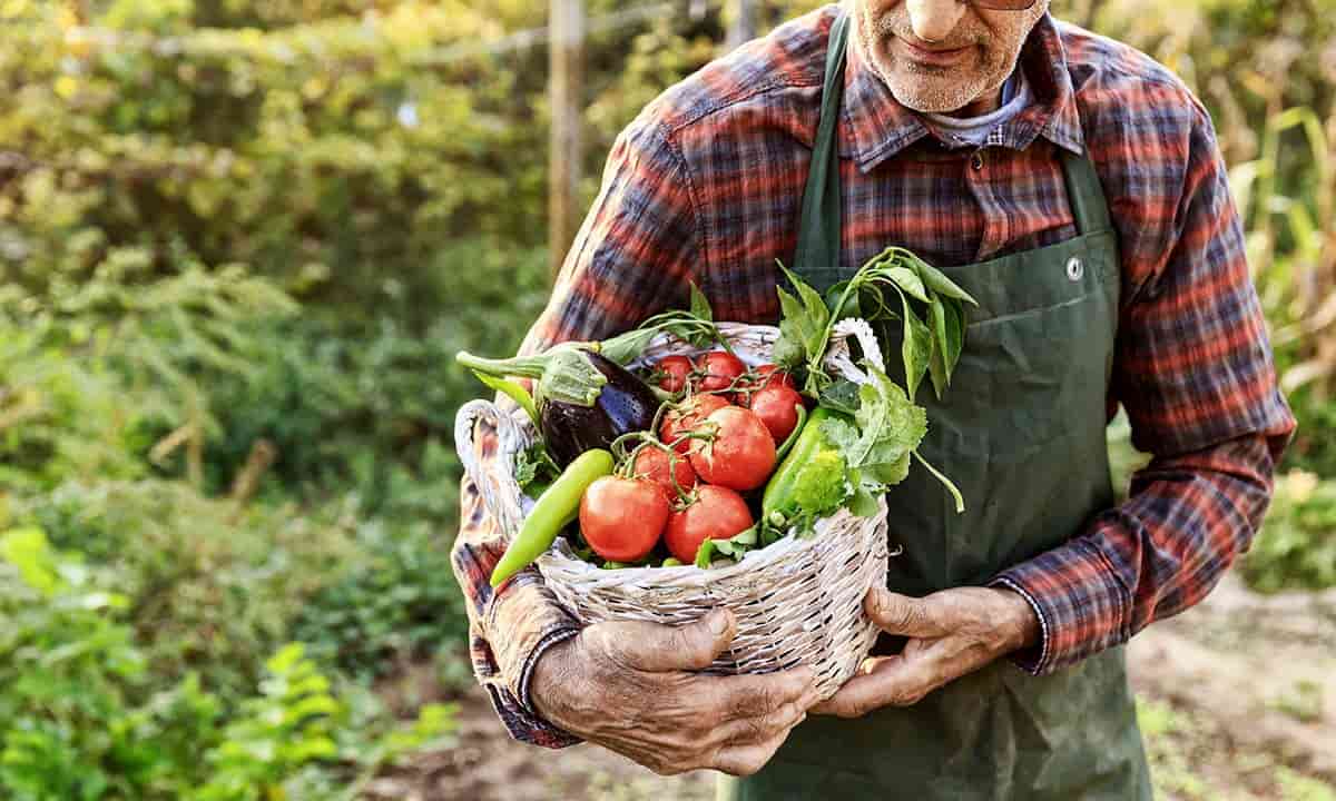 Emissioni e consumo di suolo potrebbero ridursi del 70% con una dieta sostenibile