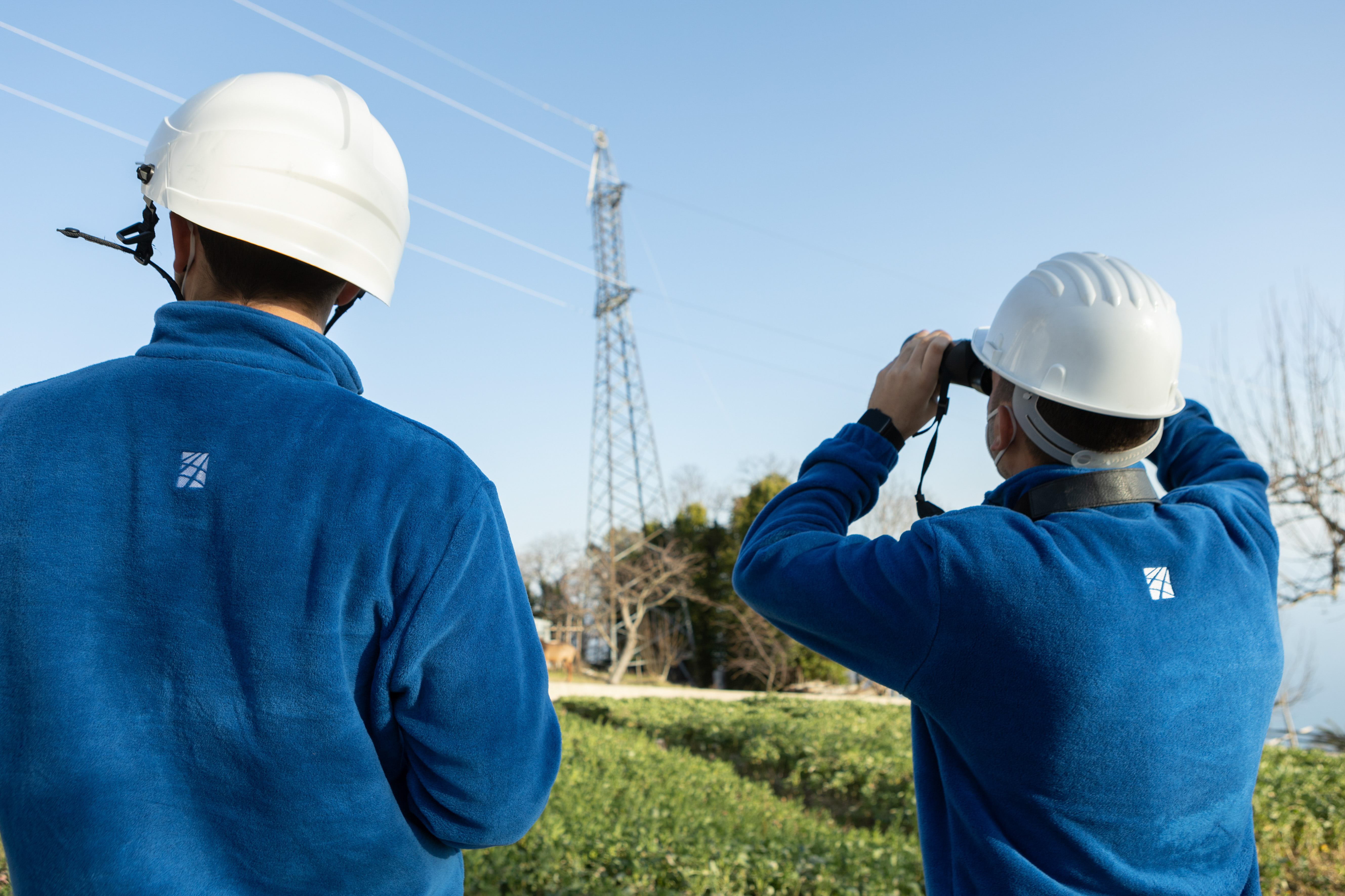 Transizione energetica, ecco il “Tyrrhenian lab”. Terna formerà giovani talenti anche a Palermo