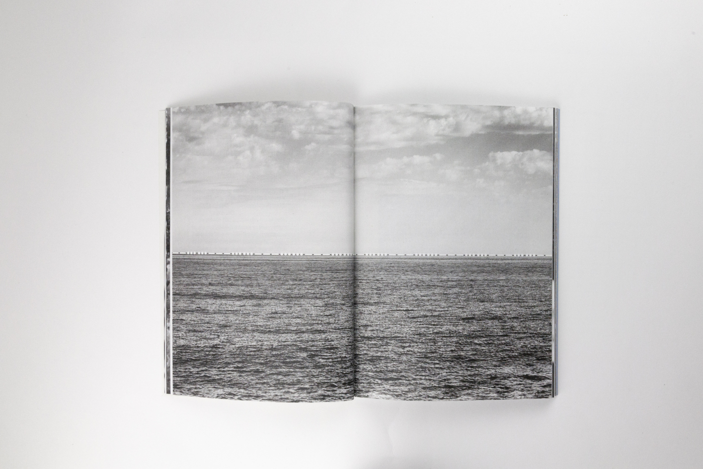 Out of Africa di Iole Carollo in mostra a Catania