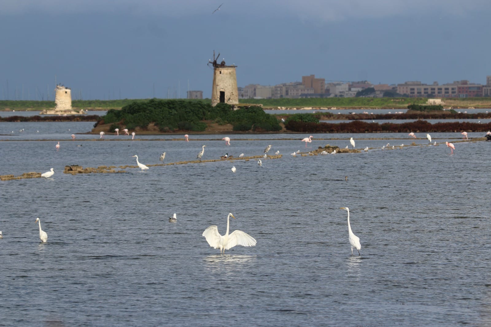 Da Est a Ovest, alla scoperta della Sicilia