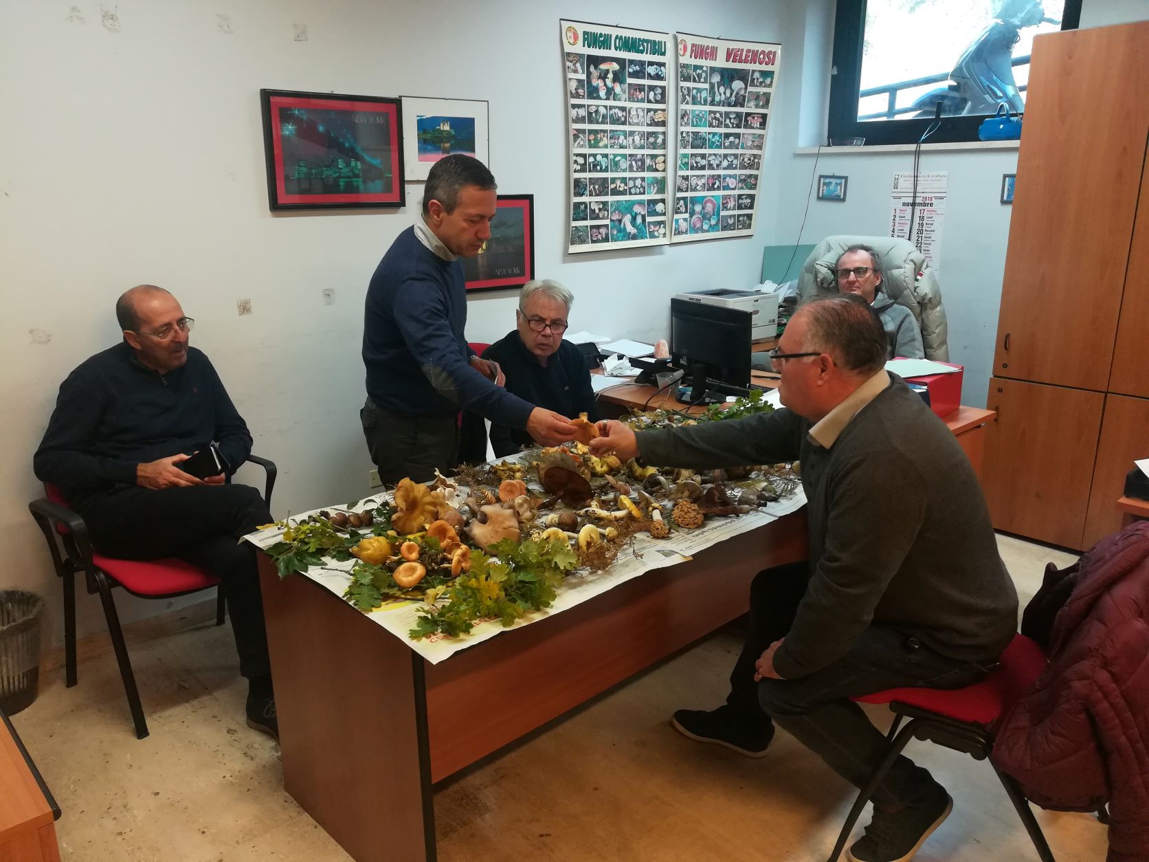 Al via la stagione dei funghi, riapre Ispettorato micologico Asp Catania