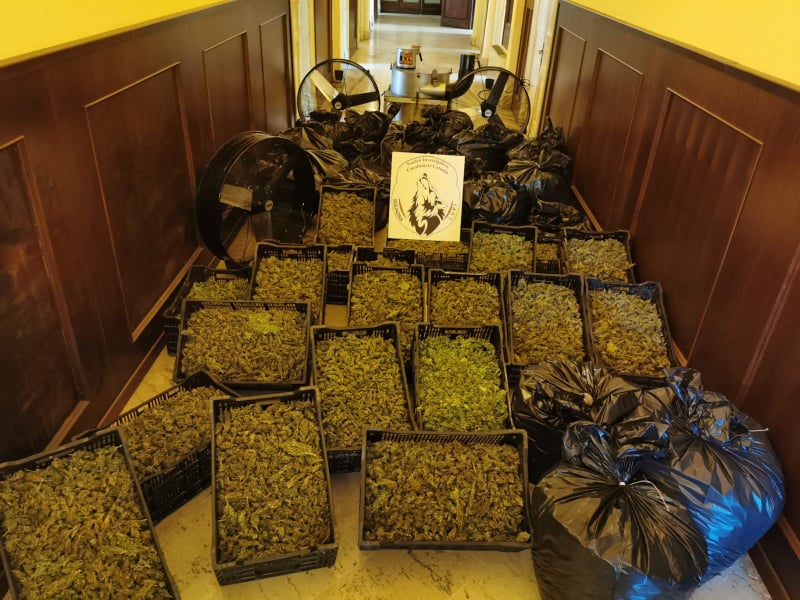 Catania, fiumi di droga nella città crocevia dello spaccio nella Sicilia orientale Catania, fiumi di droga nella città crocevia dello spaccio nella Sicilia orientale