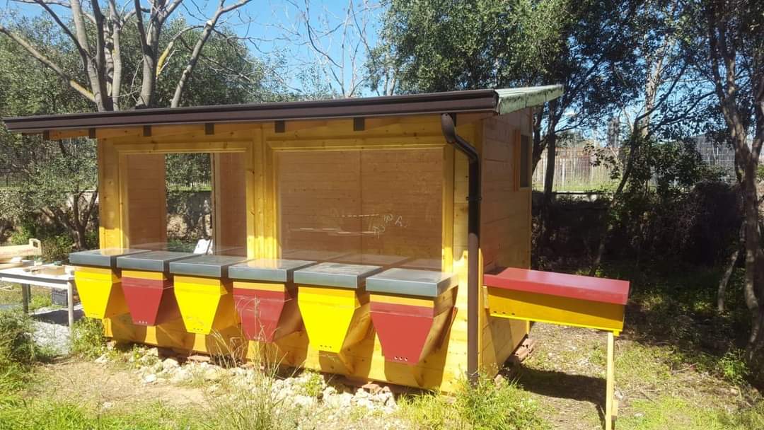Terapie olistiche, il primo apiario a Palermo