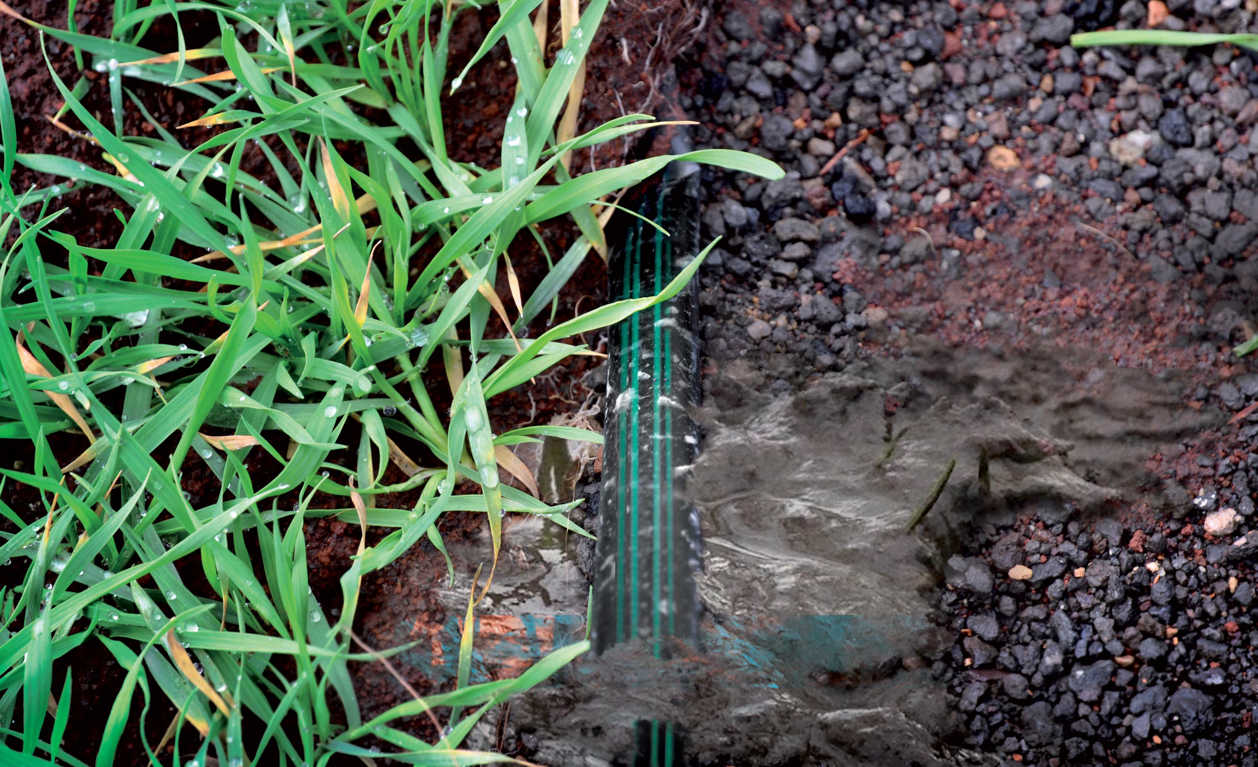 Acqua e digitalizzazione, la chiave per ridurre i consumi idrici in agricoltura