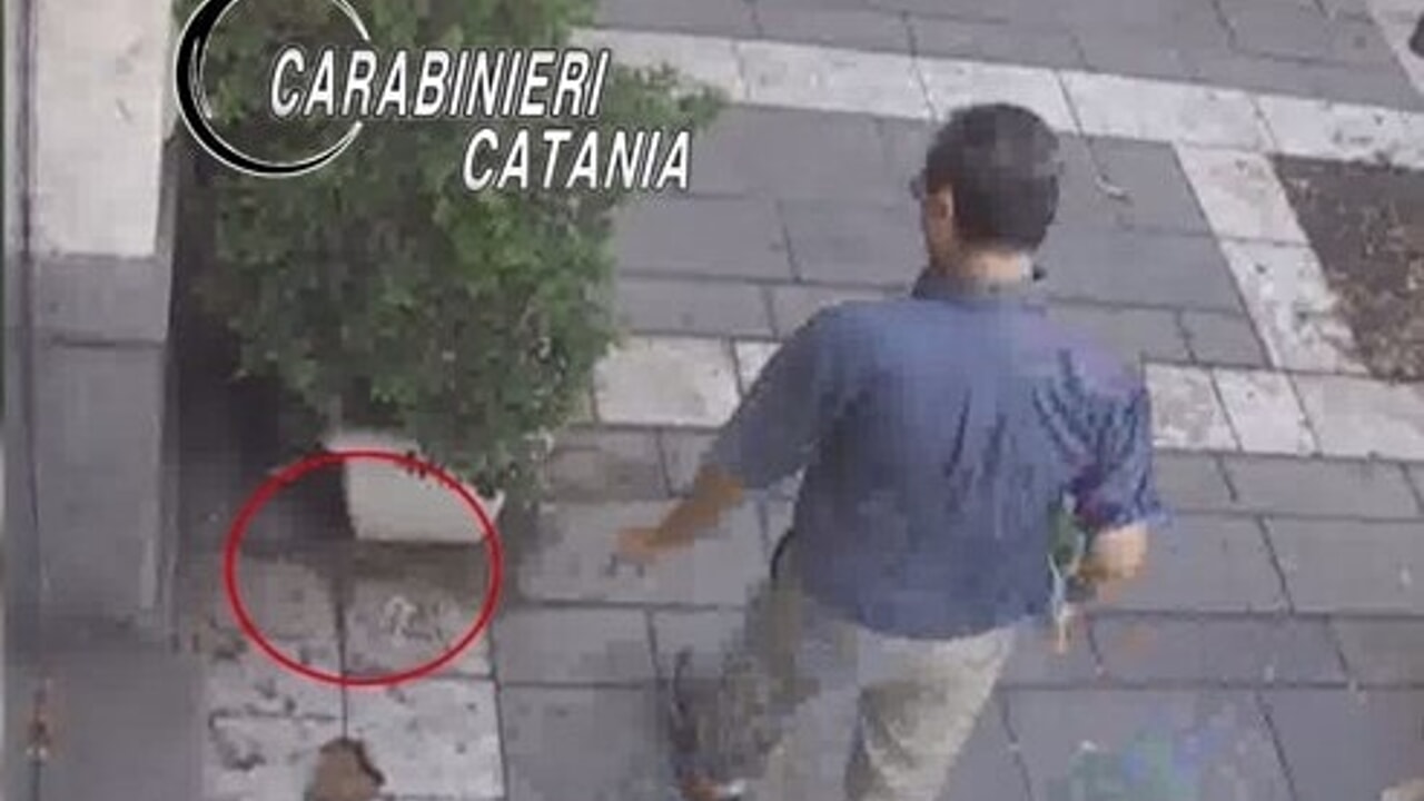 Catania, wurstel con chiodi e ami per uccidere i cani: denunciato 61enne