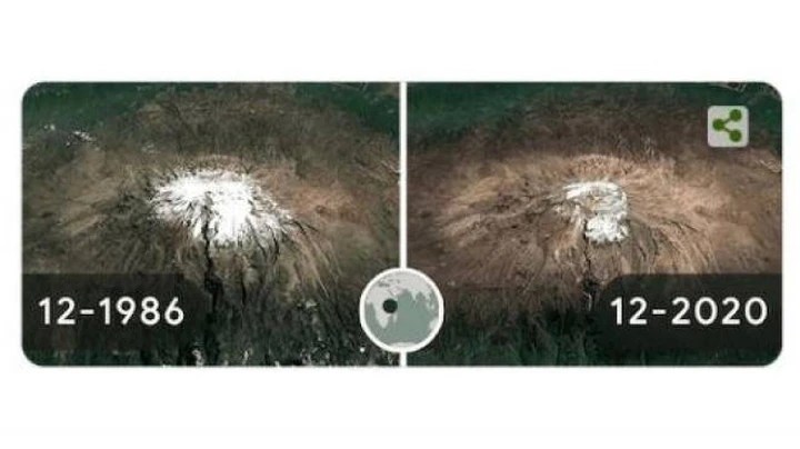 Il doodle di Google per la Giornata Mondiale della Terra