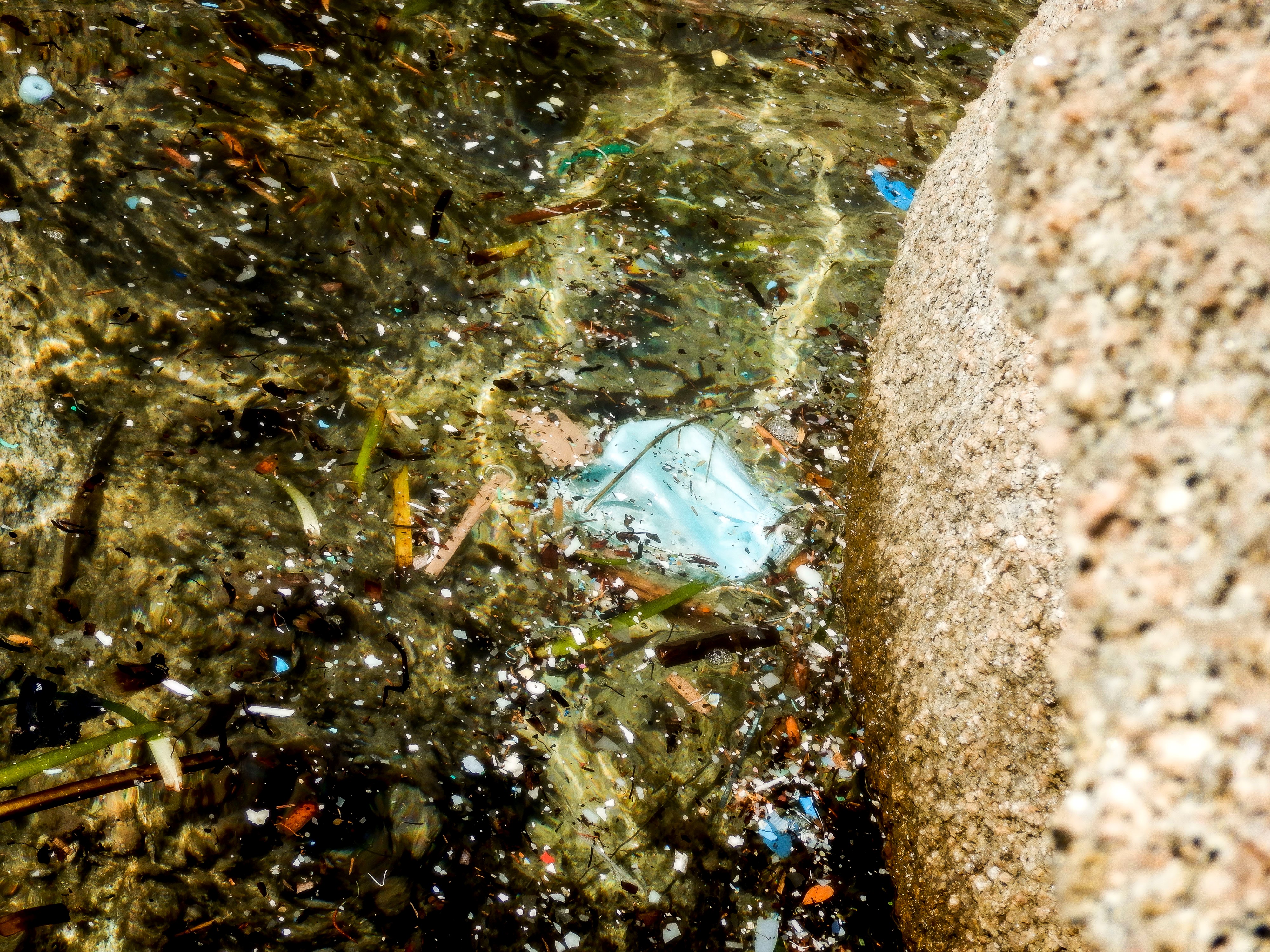 WWF: la legge Salvamare sarà uno strumento contro l’inquinamento da plastica