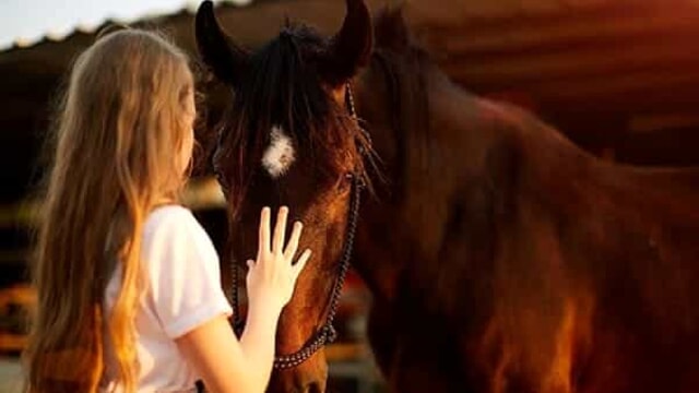 Palermo, ippoterapia gratis per bimbi autistici: il progetto alla caserma Cascino