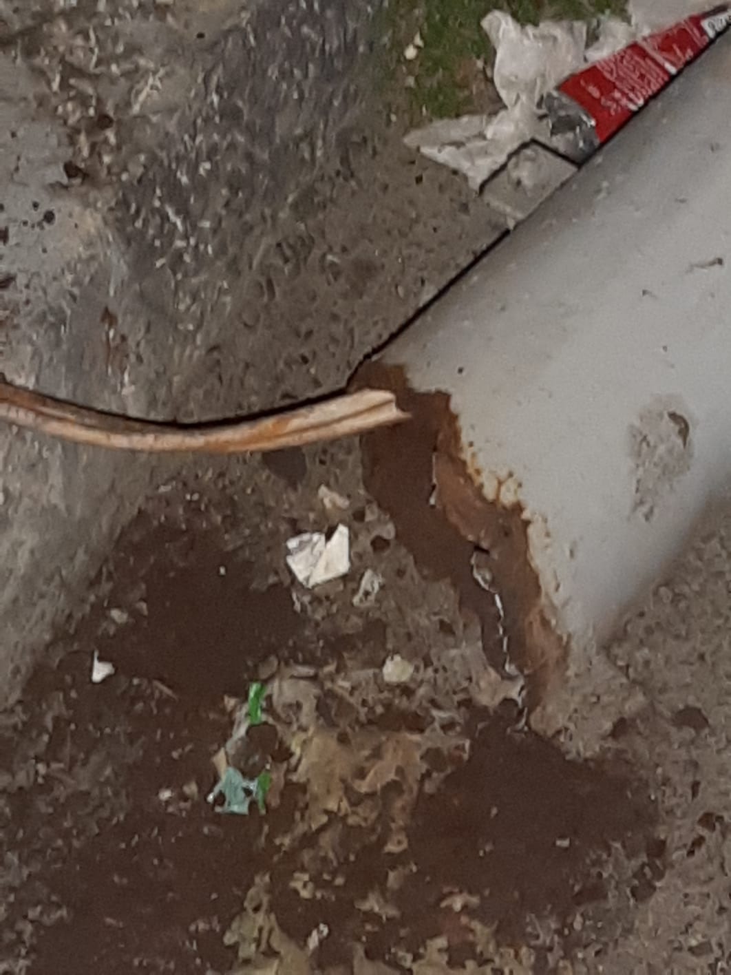 Palermo, cade palo della luce durante via Crucis: donna grave – Foto Palermo, cade palo della luce durante via Crucis: donna grave – Foto